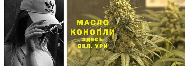 молекула духа Горнозаводск