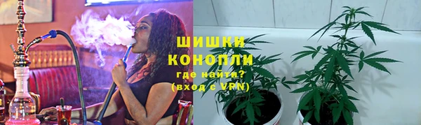 прущие крисы Горняк