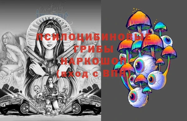 прущие крисы Горняк