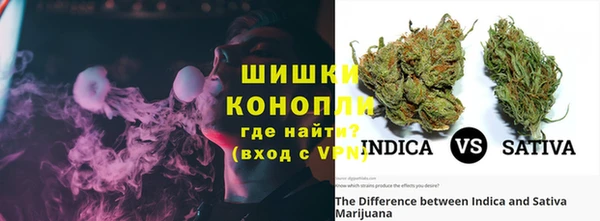 прущие крисы Горняк
