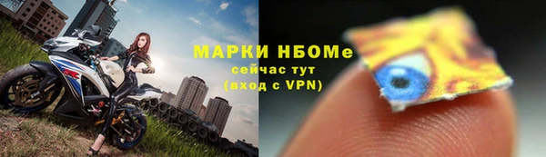 молекула духа Горнозаводск