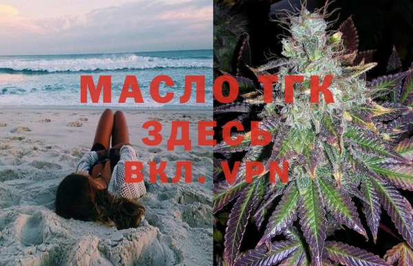 молекула духа Горнозаводск