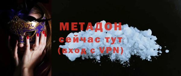 прущие крисы Горняк