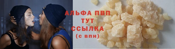 прущие крисы Горняк