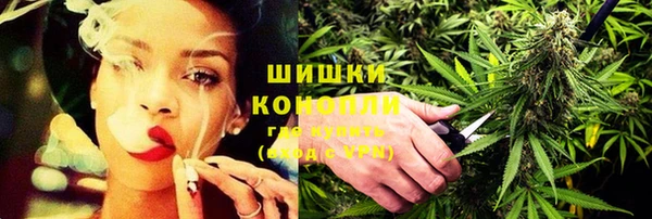 прущие крисы Горняк