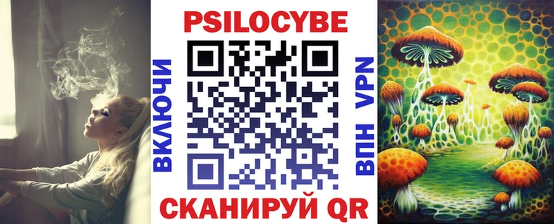 купить наркотик  mega маркетплейс  Псилоцибиновые грибы MAGIC MUSHROOMS  Нижний Новгород 