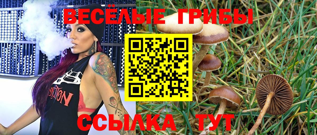 цены   Вход с VPN  Нижний Новгород  Галлюциногенные грибы мицелий 